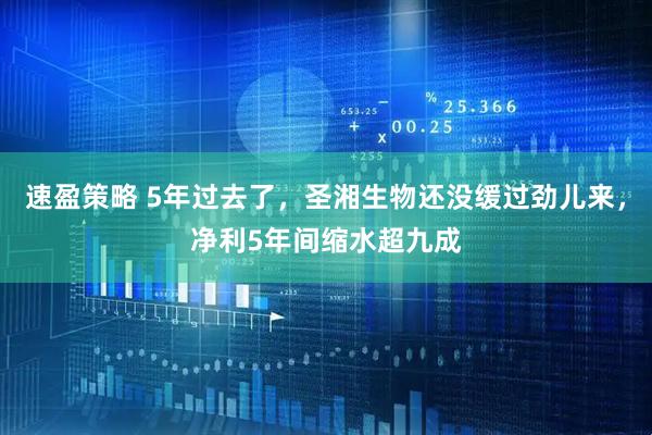 速盈策略 5年过去了，圣湘生物还没缓过劲儿来，净利5年间缩水超九成